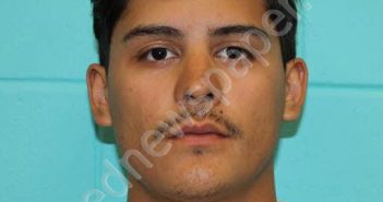 ELVIS JOAN MELENDEZ | 2026-04-28 20:19:00 Nolan County, Texas Booking
