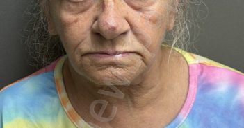 TOENNIGES,SANDRA RENEE | 2026-04-28 16:49:00 Sabine County, Texas Booking
