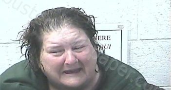 BUERER, SANDRA ANN | 2026-04-28 00:43:00 Daviess County, Kentucky Booking