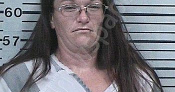 MEADOR, ASHLEY ANN | 2026-04-29 23:00:41 Hood County, Texas Booking