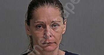 THACKER, TARA LYNN | 2026-04-29 11:10:10 Sandusky County, Ohio Booking