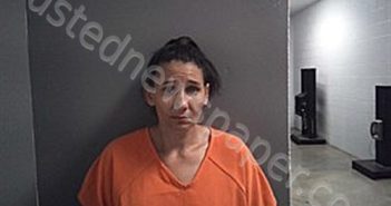 MCFARLAND, KIMBERLY MARIE | 2026-04-29 21:33:00 Fulton County, Arkansas Booking