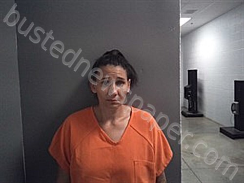 MCFARLAND, KIMBERLY MARIE #, Fulton County, Arkansas - 2026-04-29 21:33:00