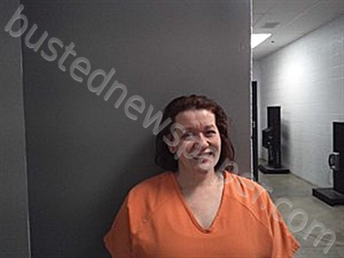 FOSTER, ANNA DANIELLE #, Fulton County, Arkansas - 2026-04-29 18:56:00