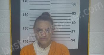 DOWNEY, TINA MARIE | 2026-04-29 12:12:00 Ottawa County, Ohio Booking