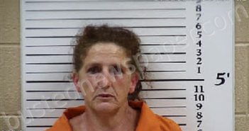 HICKEY, CAMMIE JEAN | 2026-04-30 02:17:00 Cherokee County, North Carolina Booking