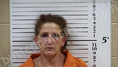 HICKEY, CAMMIE JEAN #, Cherokee County, North Carolina - 2026-04-30 02:17:00