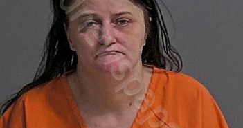 SCHAFER, ASHLEY RENEE | 2026-04-30 12:17:38 Sandusky County, Ohio Booking