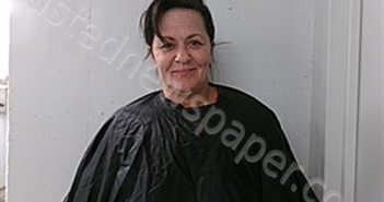 STOCKMAN, JENNIFER DYANE | 2026-05-02 10:10:00 Searcy County, Arkansas Booking