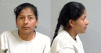 LOPEZ, MARIA CRISTINA ACOPA | 2026-05-04 Hidalgo County, Texas Booking