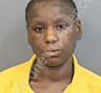 BRUNSON, NYVIA DEASIA TNEE | 2026-05-04 Kershaw County, South Carolina Booking
