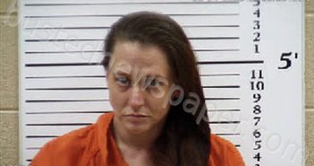 COLLINS, KRISTI MICHELLE | 2026-05-04 23:41:00 Cherokee County, North Carolina Booking