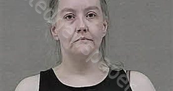 STACIE BARBOUR HODGES | 2026-05-06 19:01:00 Harnett County, North Carolina Booking