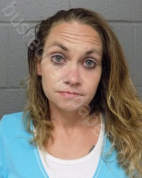 HARRINGTON, ANGELA #, Delaware County, New York - 2026-05-06 10:23:00