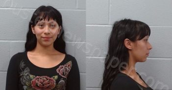 FERNANDEZ, ITZEL ALEXZA | 2026-05-08 Hays County, Texas Booking