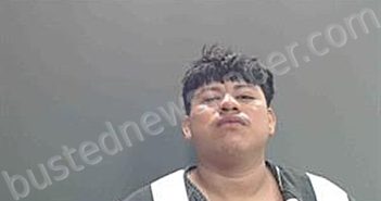 GARCIA CHAVEZ, DIEGO ALFREDO | 2026-05-08 22:34:00 Cameron Parish, Louisiana Booking