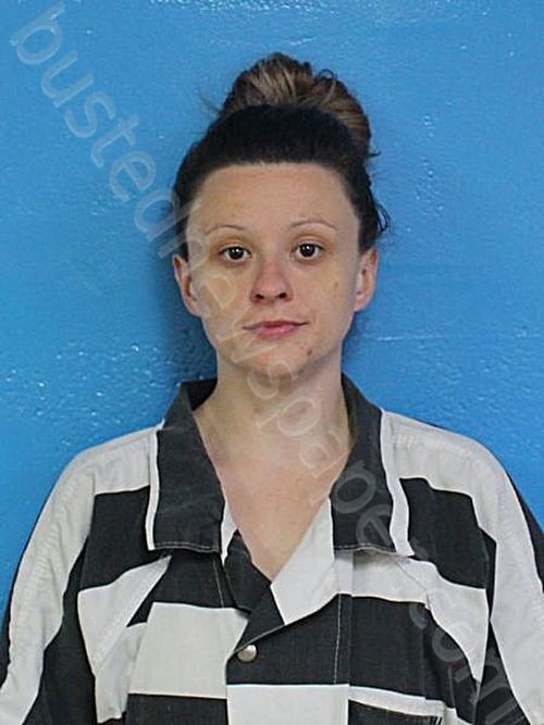 BROWN, SKY ANGELIQUE #, Sullivan County, Tennessee - 2026-05-09 21:23:00