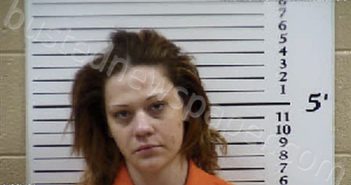 TRANTHAM, ELIZABETH KAITLYN | 2026-05-09 04:53:00 Cherokee County, North Carolina Booking