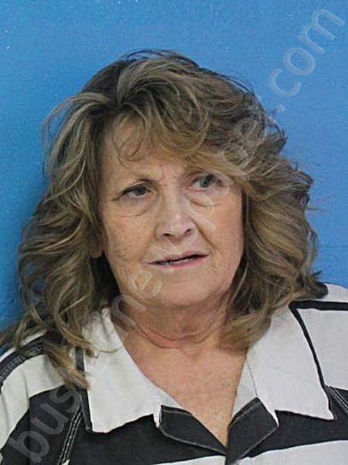 CANIPE LIGHT, MONA MICHELLE #, Sullivan County, Tennessee - 2026-05-10 00:29:00