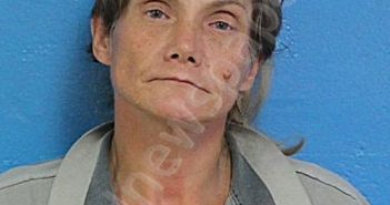 <B>MCCLANAHAN</B>, <B>STEPHANIE</B> <B>CAROL</B> #, Sullivan County, Tennessee - 2026-05-10 23:56:00