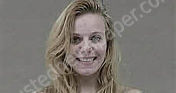 BRITTANY DIANNA MINDER | 2026-05-11 15:44:00 Harnett County, North Carolina Booking