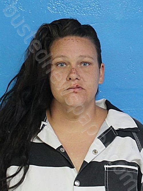 MCMILLAN, VICTORIA RAHNEE #, Sullivan County, Tennessee - 2026-05-11 14:58:00