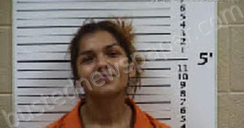 MORALES, TATIANA MARIA | 2026-05-11 14:41:00 Cherokee County, North Carolina Booking