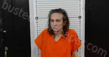 JOHNSON, CHRISTIAN MICHELLE | 2026-05-11 16:21:00 Scott County, Missouri Booking