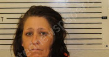 SHELTON, JODY LYNN | 2026-05-12 15:43:00 Madison County, North Carolina Booking