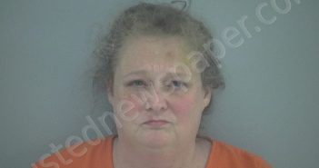 TEILA ROCHELLE RIGATTI | 2026-05-12 18:29:39 Beaufort County, South Carolina Booking