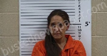 KAYS, BRANDI ALISA | 2026-05-13 01:04:00 Cherokee County, North Carolina Booking