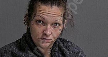 PERRONE-CRAYDEN, ASHLEY RENEE | 2026-05-15 13:48:57 Sandusky County, Ohio Booking