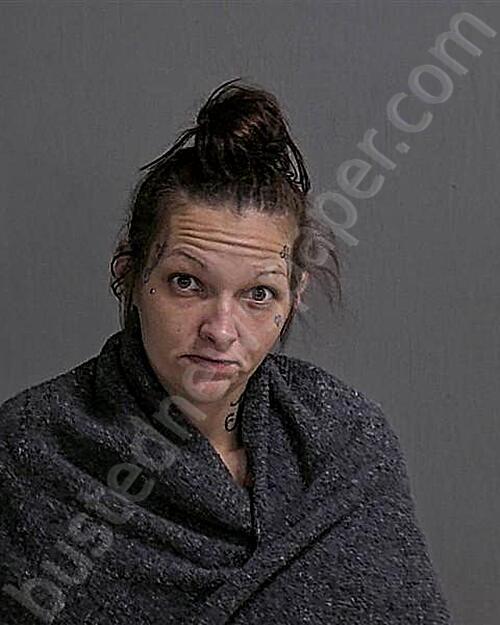 PERRONE-CRAYDEN, ASHLEY RENEE #, Sandusky County, Ohio - 2026-05-15 13:48:57