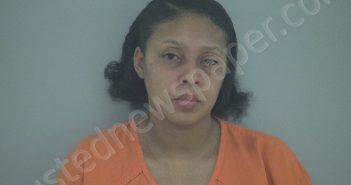 DANIELLE TAMIEKA BROOKS | 2026-05-16 03:14:17 Beaufort County, South Carolina Booking