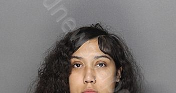 VILLARREAL, ALICIA RENEE | 2026-05-16 22:48:34 Ellis County, Texas Booking