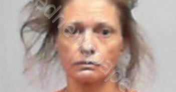 MARPLE, CARA RENEE | 2026-05-16 21:55:00 Harrison County, West Virginia Booking