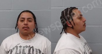 REYES, DAVID ENRIQUE | 2026-05-17 Hays County, Texas Booking