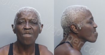 YOUNG, PAULETTE | 2026-05-18 14:35:00 Miami-Dade County, Florida Booking