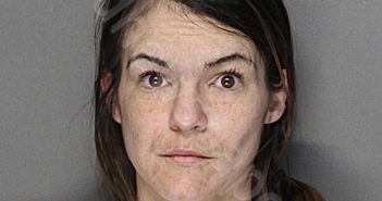 HOLMES, CRYSTAL LEE | 2026-05-18 01:17:15 Ellis County, Texas Booking