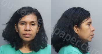 COTTIZ, KATTIA MILENA | 2026-05-18 16:57:00 Miami-Dade County, Florida Booking