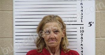 HOGSED, TERRIE DALE | 2026-05-18 21:33:00 Cherokee County, North Carolina Booking