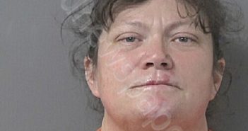 REASON, CHRISTAL GAIL | 2026-05-20 13:38:00 Wilson County, North Carolina Booking