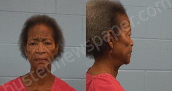 GEYTON, GLYNIS DIANNE | 2026-05-20 Williamson County, Texas Booking