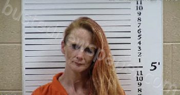 LINGO, VALARIE MARIE-RENEE | 2026-05-20 01:32:00 Cherokee County, North Carolina Booking