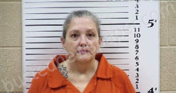 PAYNE, DEENA DECKER | 2026-05-20 03:31:00 Cherokee County, North Carolina Booking
