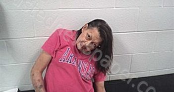 <B>DAVIS</B>, <B>ROBIN</B> <B>ANGELIA</B> #, Fulton County, Arkansas - 2026-05-20 22:19:00