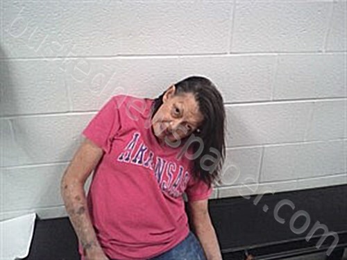 DAVIS, ROBIN ANGELIA #, Fulton County, Arkansas - 2026-05-20 22:19:00