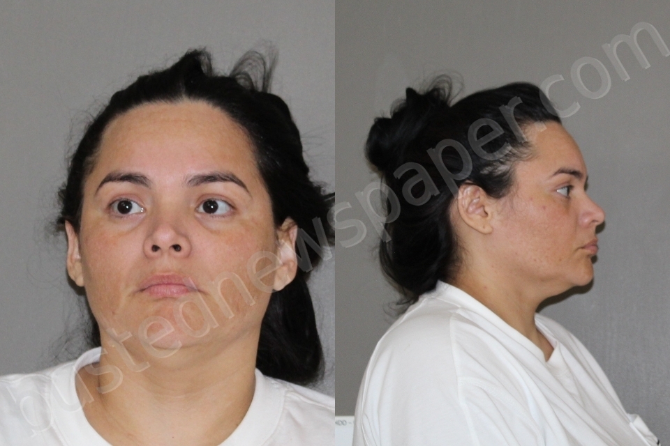 VILLALOBOS PALMER, JOHANA GABRIELA #, Denton County, Texas - 2026-05-24