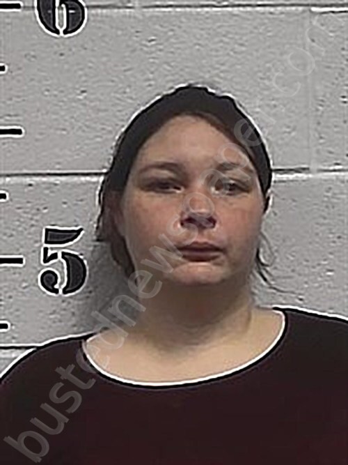 ALLIGOOD, ELIZABETH MICHELLE #, Sharp County, Arkansas - 2026-05-26 17:44:00