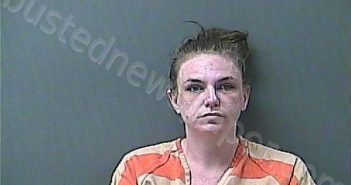 PETERSON, TABITHA DIANE | 2026-05-27 20:16:00 Laporte County, Indiana, La Porte County, Indiana Booking